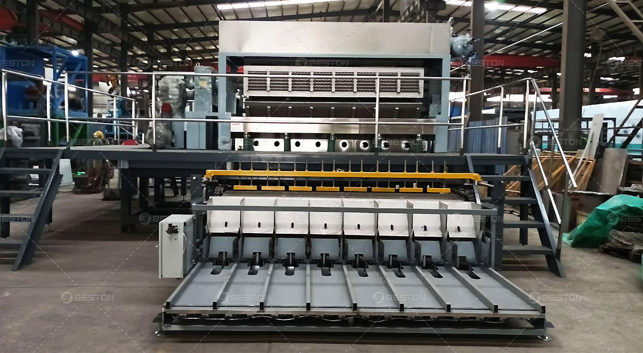 BTF8-8 8000-9000pcs Egg tray Machine